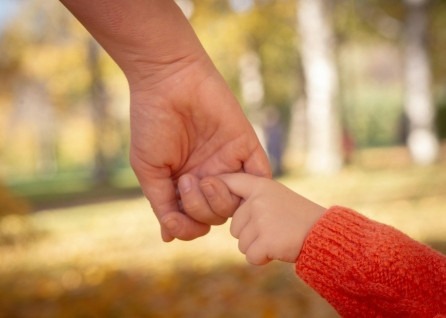 An adult hand holds a child’s hand outdoors, both wearing long sleeves amid blurred autumn foliage in the background—a poignant image often seen by a compassionate Houston family law attorney supporting families through life’s transitions.