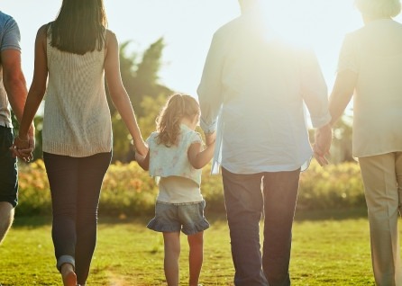 Four adults and one child holding hands, walking outdoors on grass in sunlight, photographed from behind—a warm scene capturing togetherness, reminiscent of the support and unity provided by a Houston family law attorney.