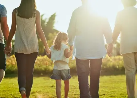 Four adults and one child holding hands, walking outdoors on grass in sunlight, photographed from behind—a warm scene capturing togetherness, reminiscent of the support and unity provided by a Houston family law attorney.